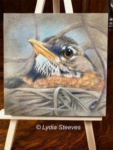 Critter Squares - Pam's Robin CP e-Packet